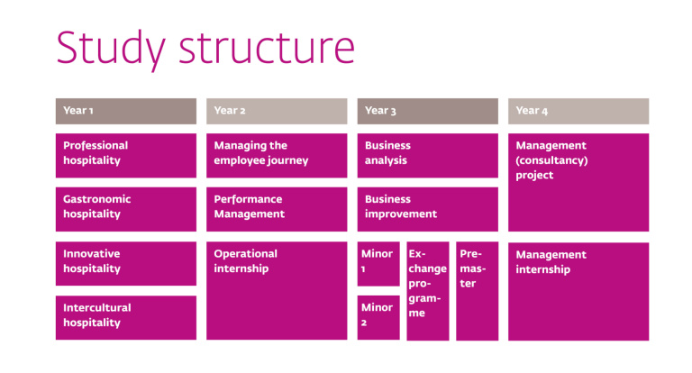 Bachelor Hotel Management